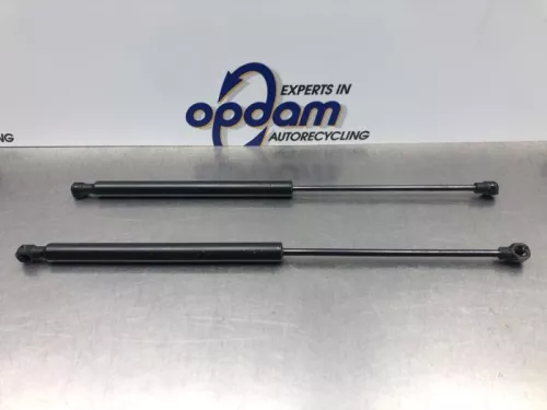 Set Gasdempers Achterklep-8029062