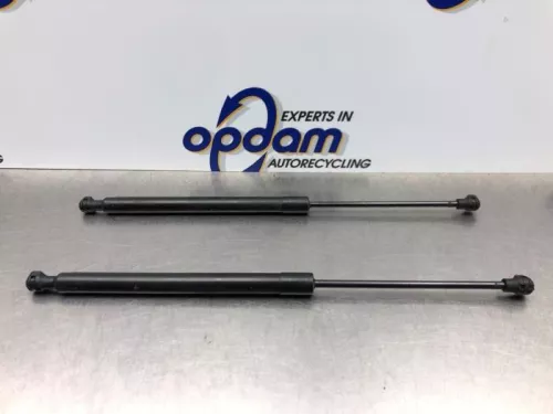 Set Gasdempers Achterklep-8197133