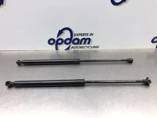 Set Gasdempers Achterklep-8044841