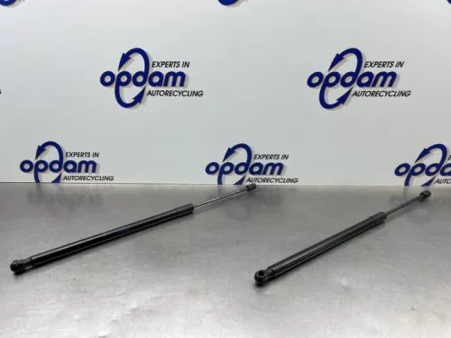 Set Gasdempers Achterklep-8224794