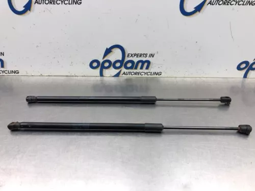 Set Gasdempers Achterklep-8119822