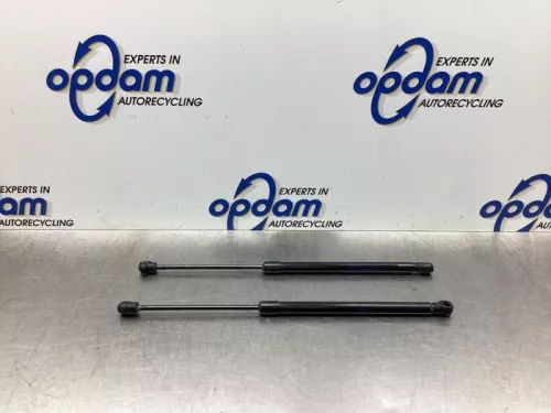 Set Gasdempers Achterklep-8010216