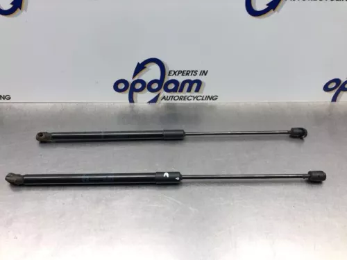 Set Gasdempers Achterklep-8203016