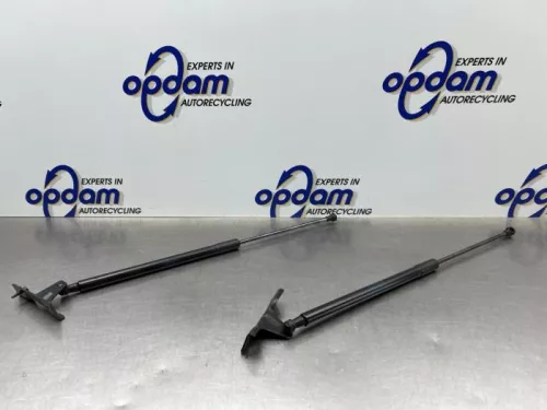 Set Gasdempers Achterklep-8304428