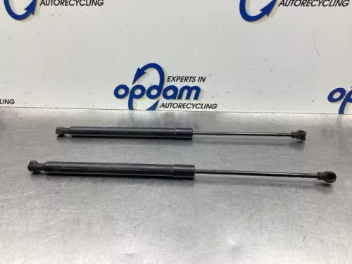 Set Gasdempers Achterklep-8063408