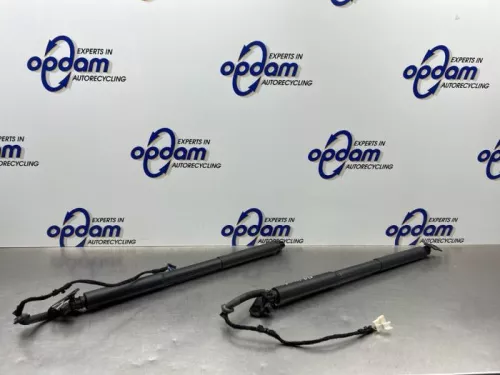 Set Gasdempers Achterklep-8163154