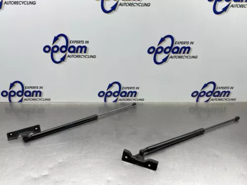 Set Gasdempers Achterklep-8170729