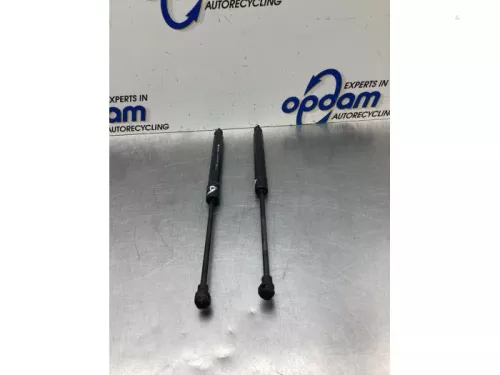 Set Gasdempers Achterklep-8048548