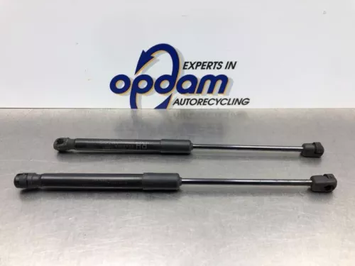 Set Gasdempers Achterklep-8119845