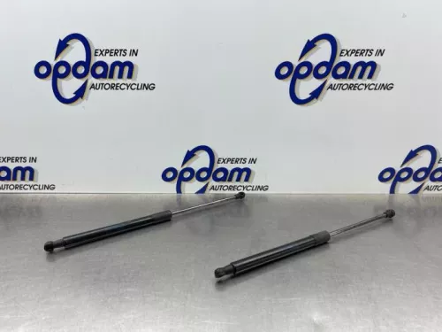 Set Gasdempers Achterklep-8315005