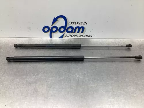 Set Gasdempers Achterklep-7737594