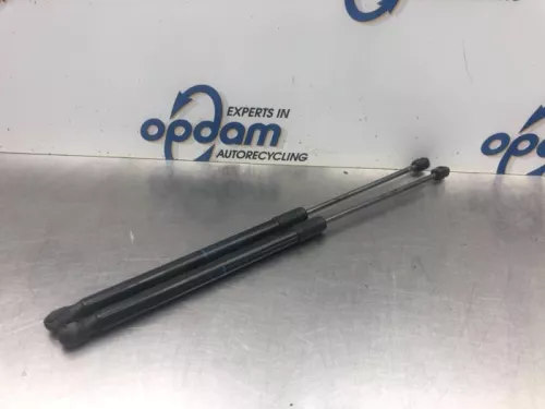 Set Gasdempers Achterklep-7994009