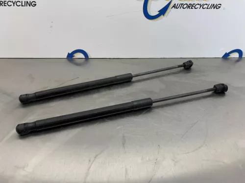 Set Gasdempers Achterklep-8180437