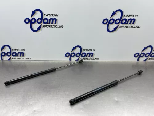 Set Gasdempers Achterklep-8287203