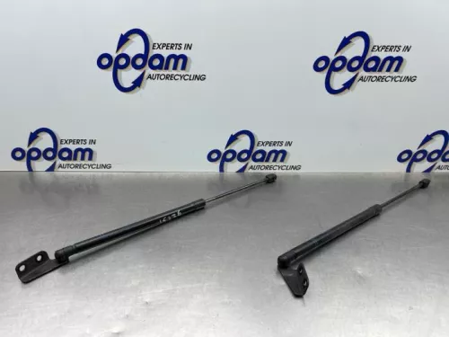 Set Gasdempers Achterklep-8263369