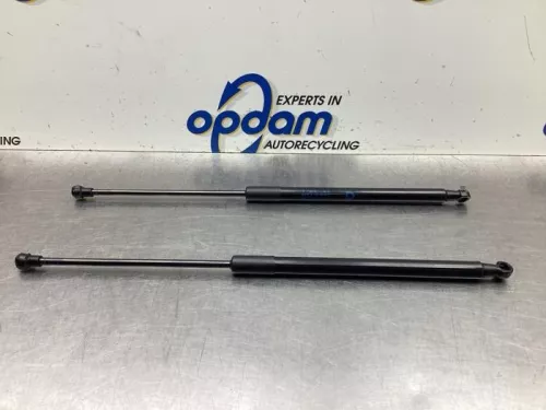 Set Gasdempers Achterklep-8031254