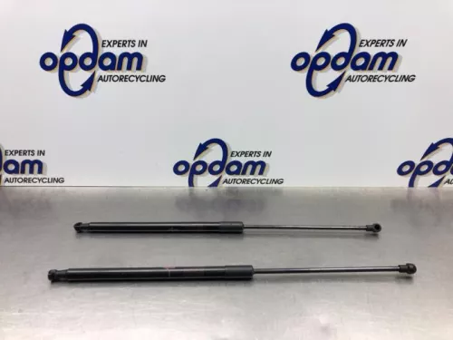 Set Gasdempers Achterklep-8166741