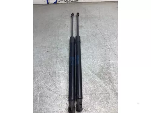 Set Gasdempers Achterklep-8254635