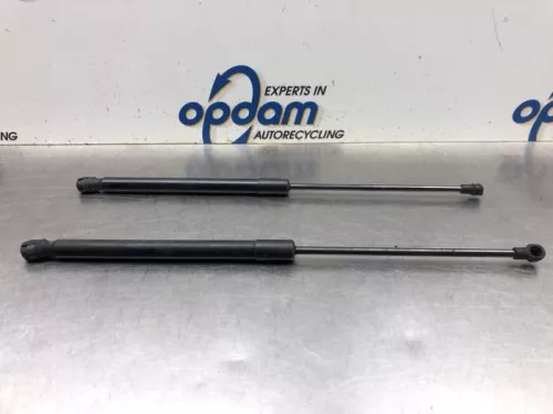 Set Gasdempers Achterklep-8031487