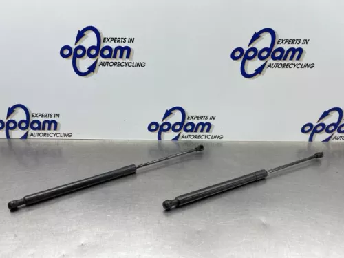 Set Gasdempers Achterklep-8301989