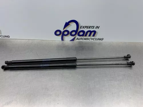 Set Gasdempers Achterklep-8143690