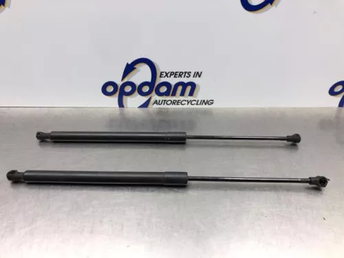 Set Gasdempers Achterklep-8169541