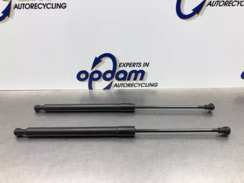 Set Gasdempers Achterklep-8197402