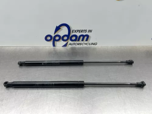 Set Gasdempers Achterklep-8278014