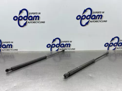 Set Gasdempers Achterklep-8228325