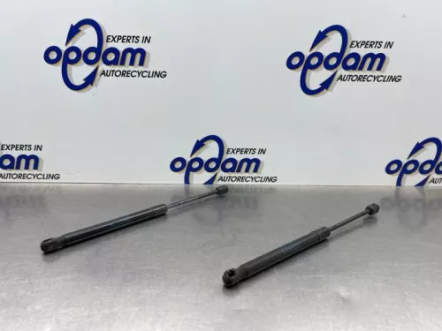 Set Gasdempers Achterklep-8210217