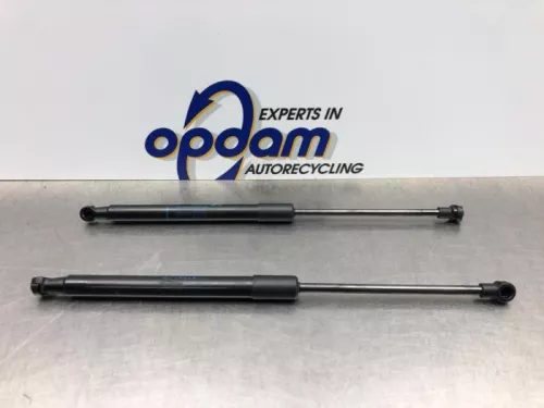 Set Gasdempers Achterklep-8191587