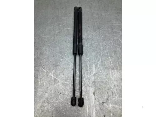 Set Gasdempers Achterklep-8055054