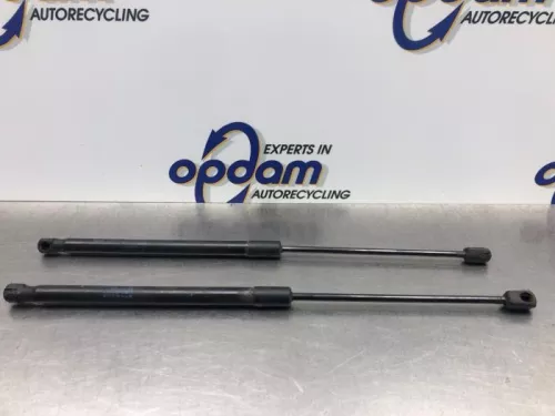 Set Gasdempers Achterklep-8154432