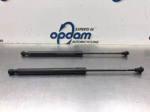 Set Gasdempers Achterklep-8072215