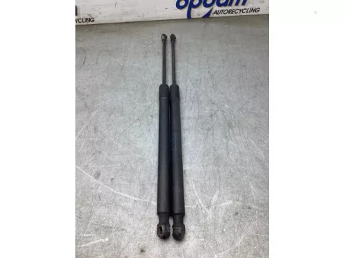 Set Gasdempers Achterklep-8294791