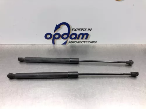 Set Gasdempers Achterklep-8206333