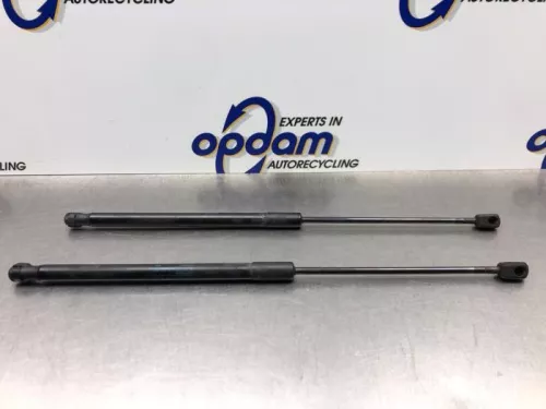 Set Gasdempers Achterklep-8196374