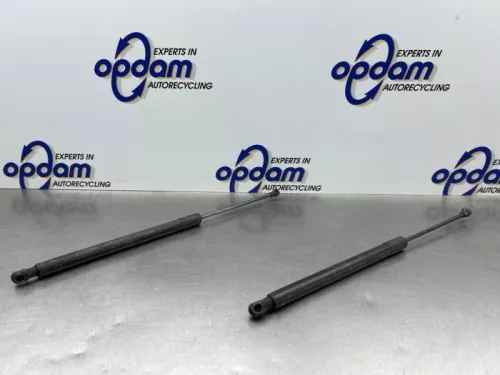 Set Gasdempers Achterklep-8179334