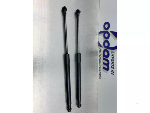 Set Gasdempers Achterklep-8187393
