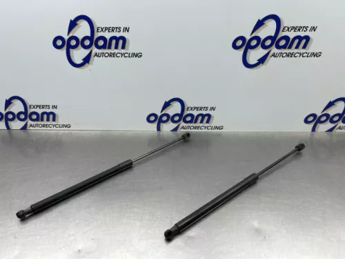 Set Gasdempers Achterklep-8264011