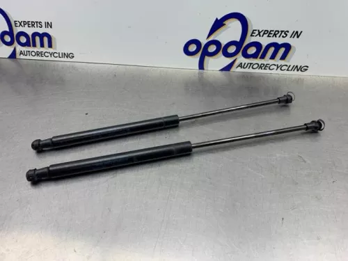 Set Gasdempers Achterklep-8271193