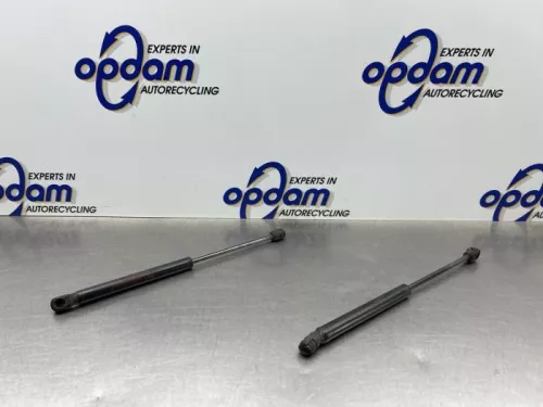 Set Gasdempers Achterklep-8298840