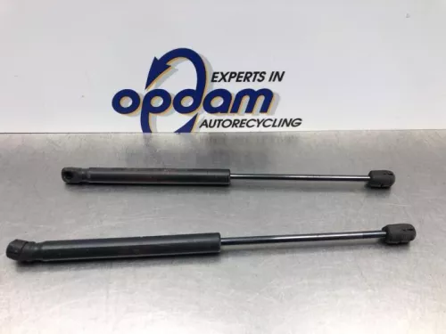 Set Gasdempers Achterklep-8200579