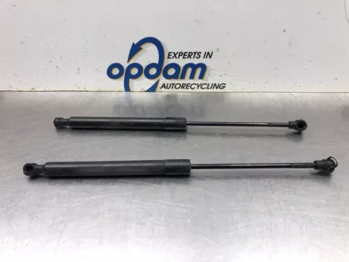 Set Gasdempers Achterklep-8108798