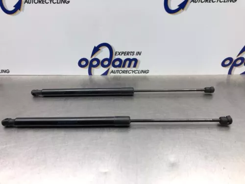 Set Gasdempers Achterklep-8072612