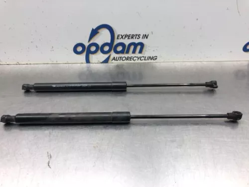 Set Gasdempers Achterklep-8108258