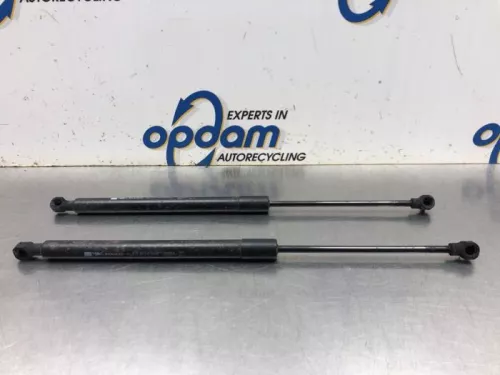 Set Gasdempers Achterklep-8163001