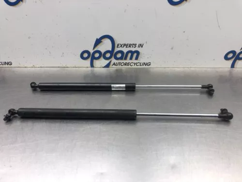 Set Gasdempers Achterklep-8084506