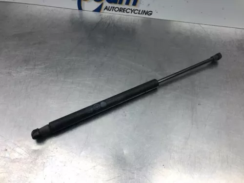 Set Gasdempers Achterklep-7364359