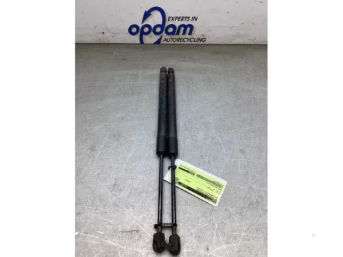 Set Gasdempers Achterklep-8247799